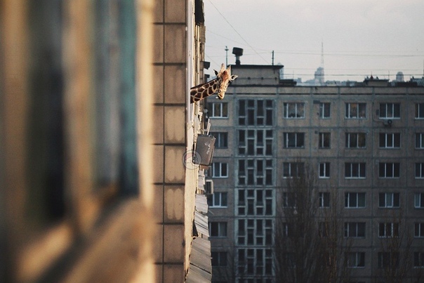 Crazy Art с доброй улыбкой
