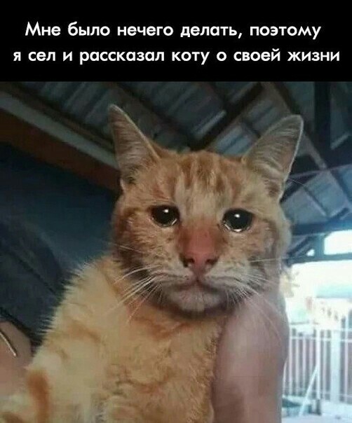 «На землю не сойти. Приходится экономить воду, чтобы помыться»: монолог владелицы яхты, застрявшей в международных водах