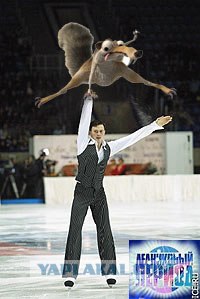 Фотожаба: ТВ программа