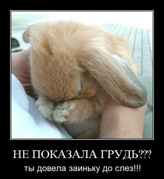 Бредзона 17.07.2020