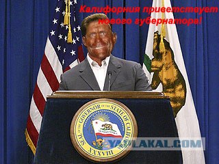 Накачанный зверь