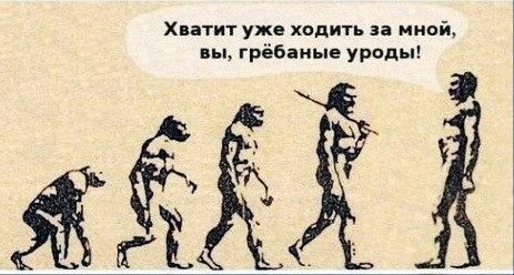 Дурацкие картинки