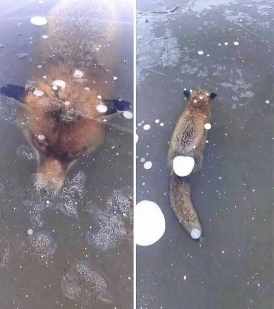 Морозно однако!