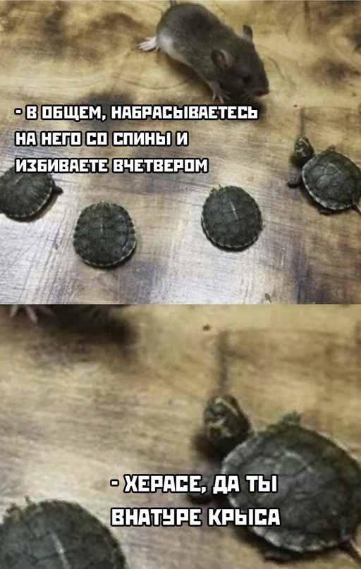 Весёлый полтишок 21.02