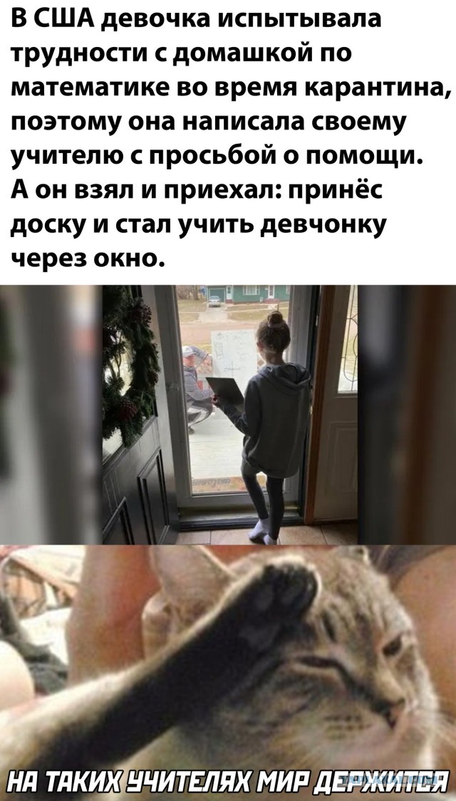 Мадам и месье бонжур