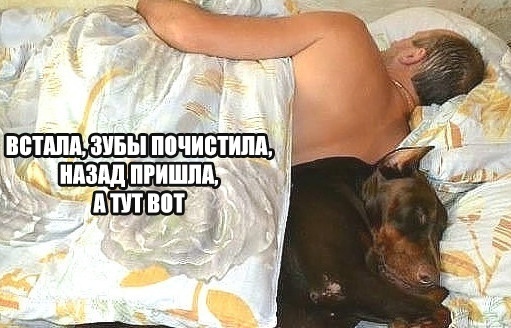 Так себе картинки 31.12.21