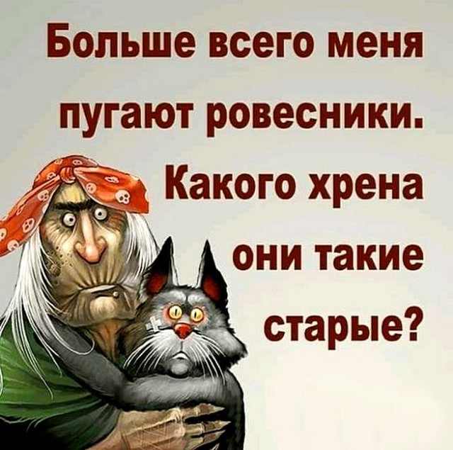 Человек собаке друг и другие картинки под настроение 13.01.2022