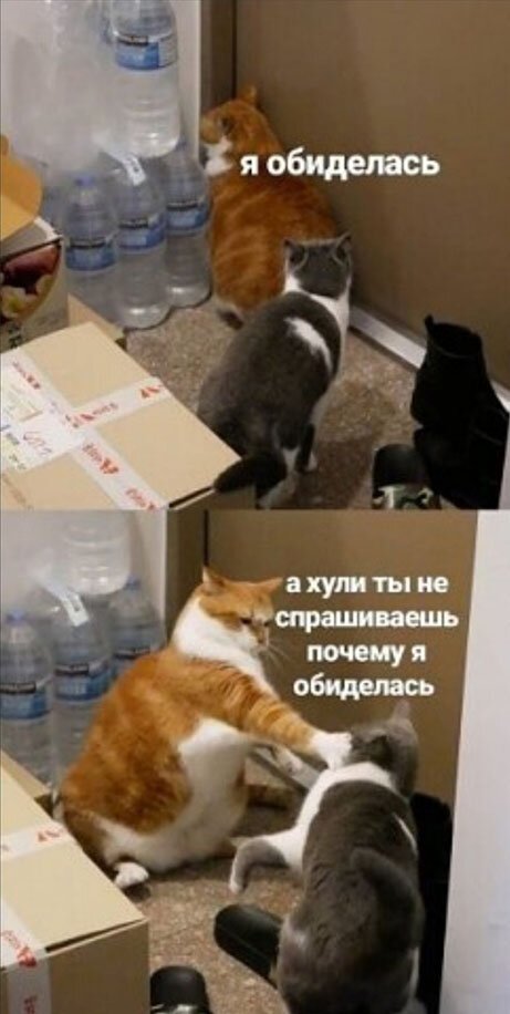 Дочь не пригласила на свадьбу отчима, который растил ее с 9 лет. Я тоже на эту свадьбу не пойду