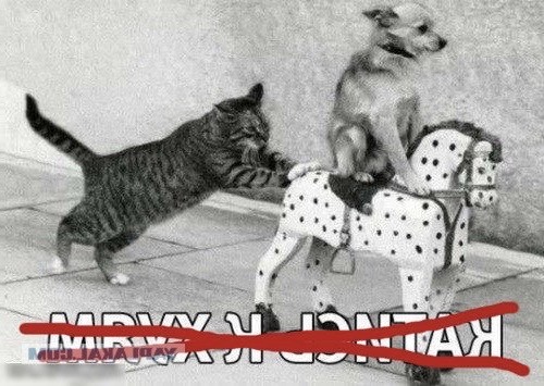 Объявление об окончательном решении покинуть это место