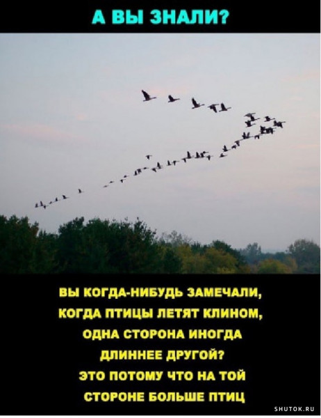 Так себе картинки 01.05.22