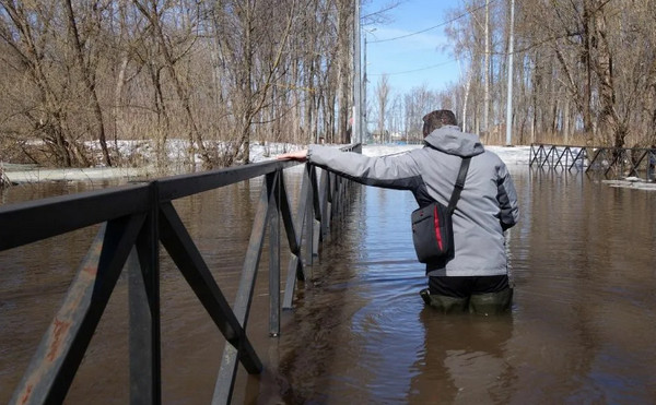 Вот это я понимаю - отдых на природе!