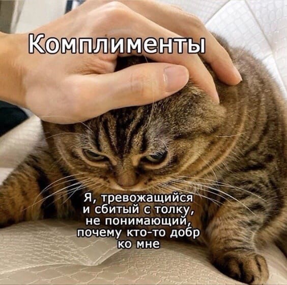 Так себе картинки 10.05.22