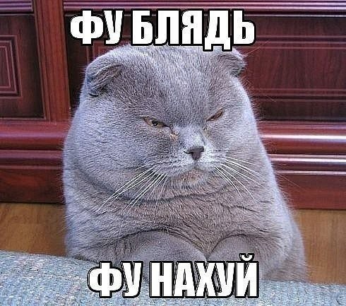 И мне донатов