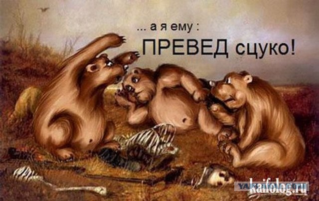 Миша и хрюша