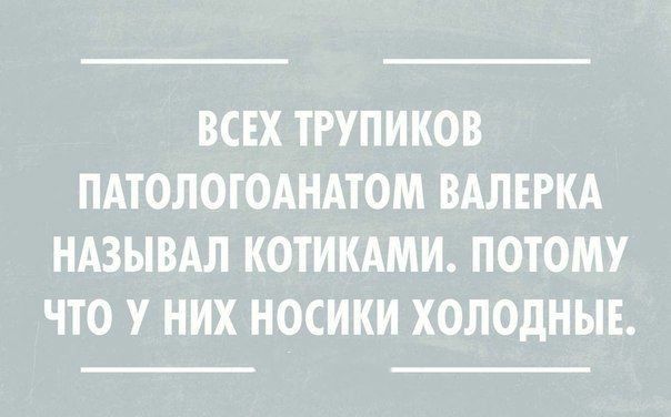 50 оттенков серого или самосвал баянов. Vol.28
