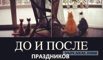 Победная поступь идиотизма по планете – том 4