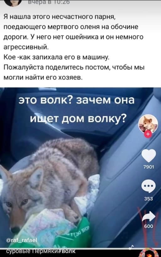 Тем временем в России...