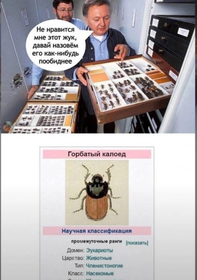 Всего понемногу. От 19.01.24