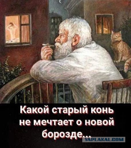 Всего понемногу. От 05.08.24