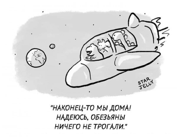 Что произойдет с человеком на околосветовой скорости?