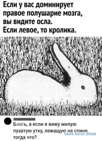 Веселые картинки в пятницу (11.04)
