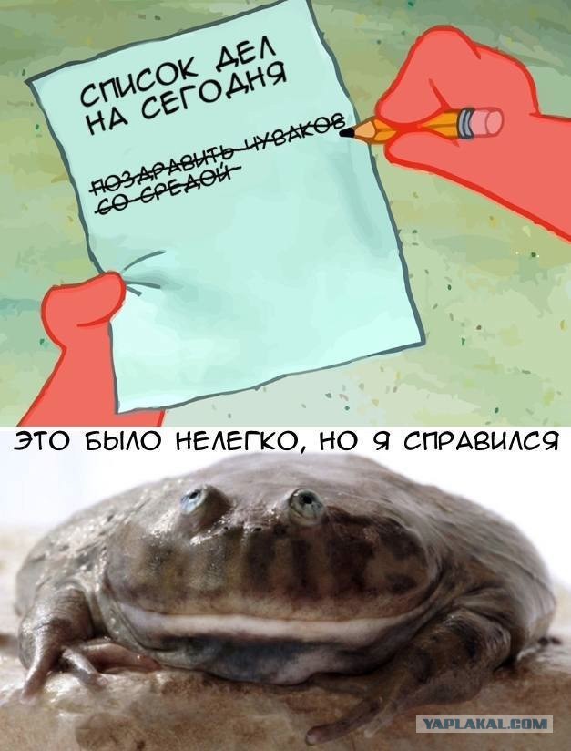 Завалялось тут случайно немного забавных картинок