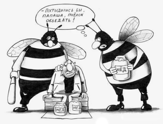 Почему шмели лучше пчел.