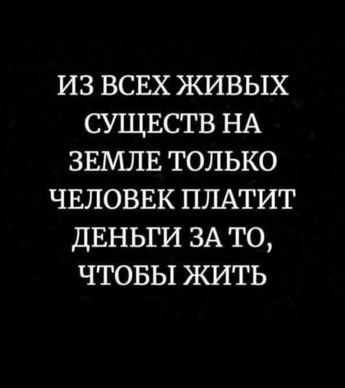 Прикольные и просто красивые картинки 07.10.2025
