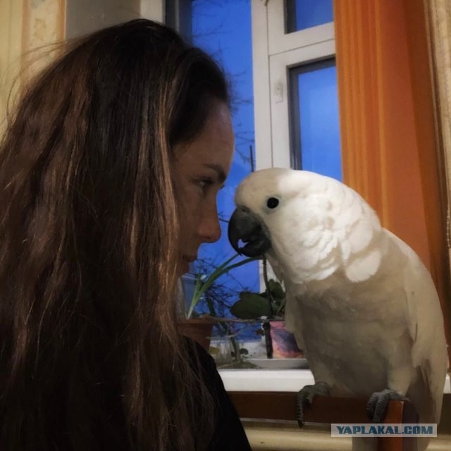 Любите ли вы жопки, как люблю их я?!