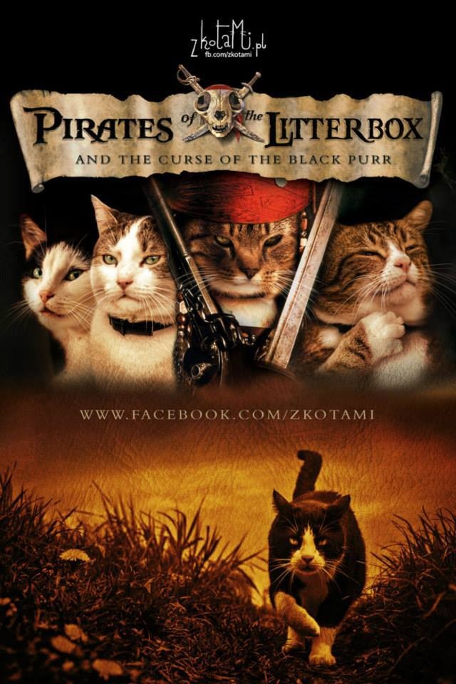 Прикольные и просто красивые картинки 18.11.2025