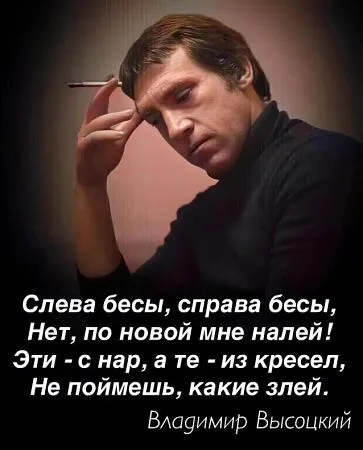 Мой кот