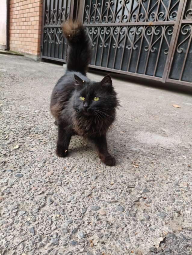 Картиночки на 18.02.2026