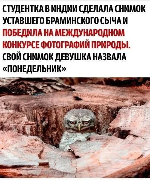 Улыбательные картинки