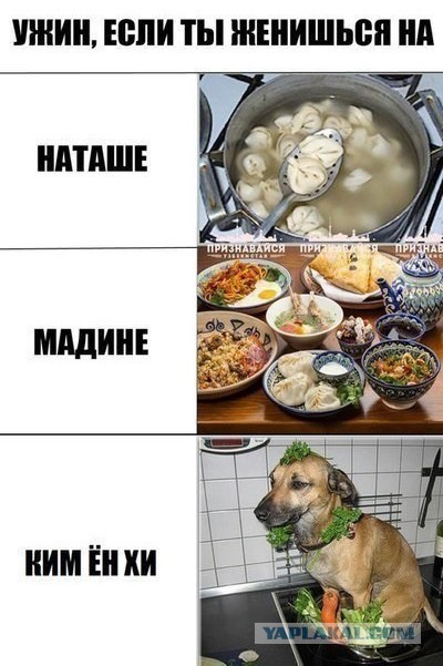 Картиночки, баянчики 04 июня