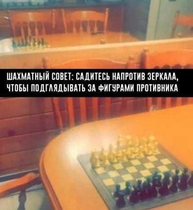 Шахматы⁠