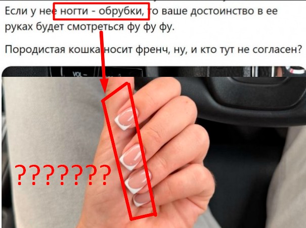 Опять бомбу в курятник закинули⁠⁠