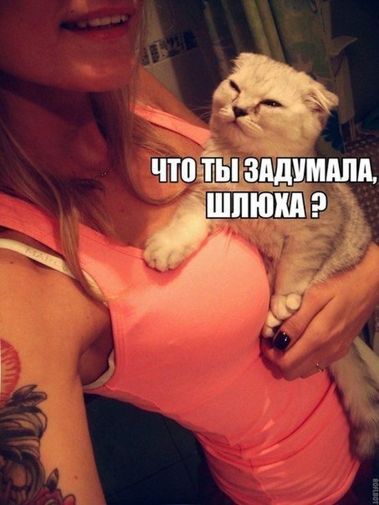 Царь,просто царь...