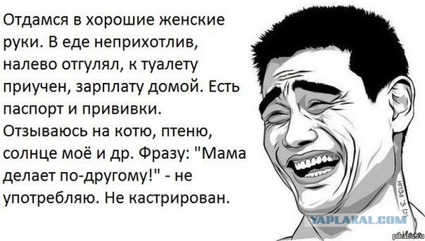 Визуализируем свои Дни Рождения