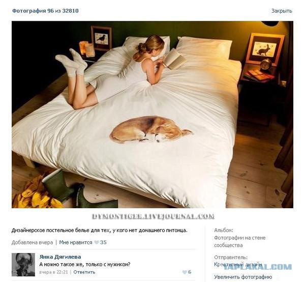 Смешные комментарии из социальных сетей #2