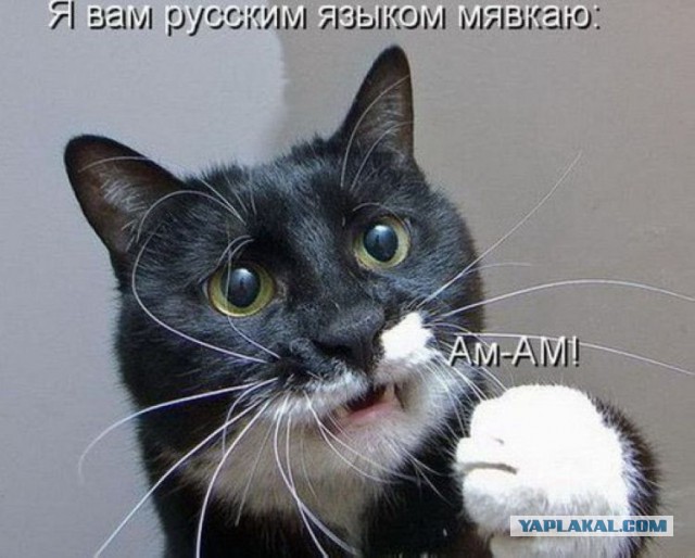 Весёлые картинки. Разбавим будни