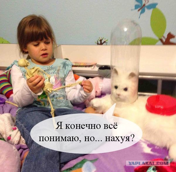 Позитивные картинки и комментарии.