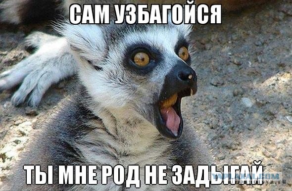 Когда вы минусити заминусованного 2.