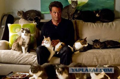 День рождения взрослого, состоявшегося мужчины