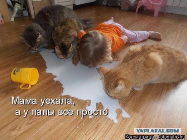 Сразу видно папин подход