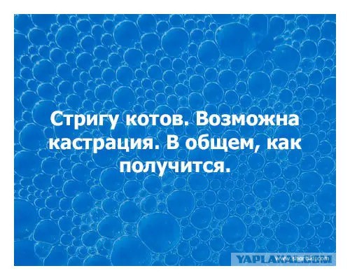 Веселые картинки