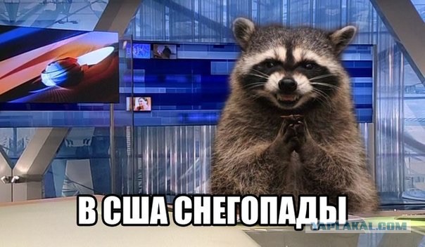 В США обанкротилась первая компания