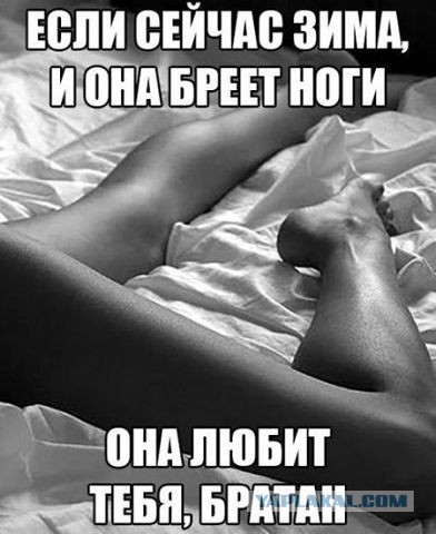 Весёлое из сети