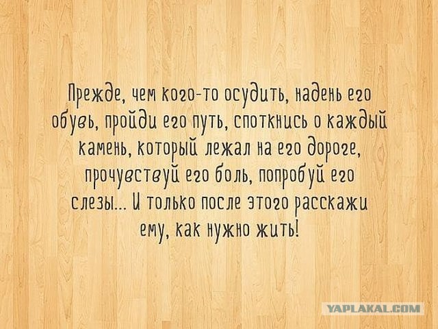 20 фактов обо всем