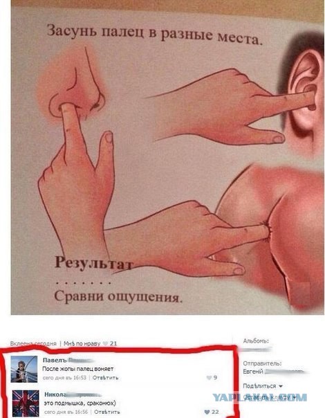 Смешные комментарии из социальных сетей