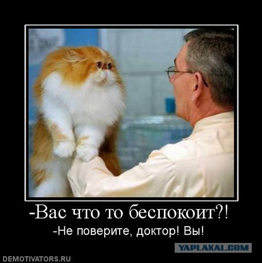 Демотиваторы вторника